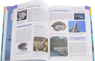 Подводный мир. Энциклопедия (192 стр)